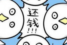 永靖专业催债公司的市场需求和前景分析